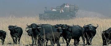 Chobe Day Trip From Victoria Falls (Zimbabwe)