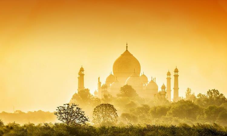 Taj Mahal Sunrise & Agra Fort With Luxury Car: All Inclusive (India)