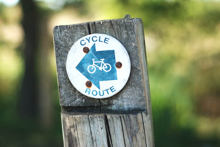 Cycle route sign in a forest