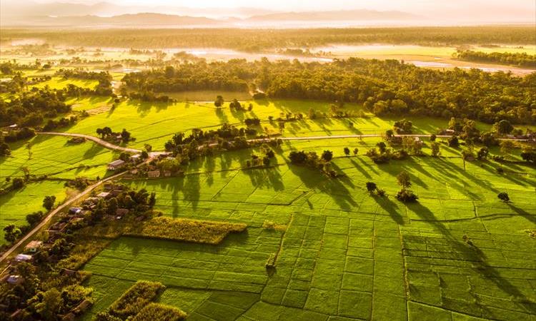 Eco tour: Exploring The Wilderness Of Bardia (Nepal)