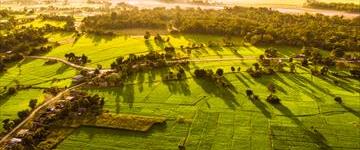 Eco tour: Exploring The Wilderness Of Bardia (Nepal)