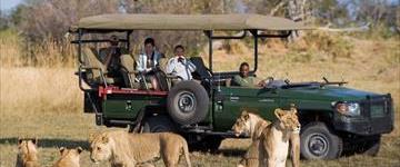Eco tour: 3 Hour Zambezi National Park Photographic Safari From Victoria Falls (Zimbabwe)