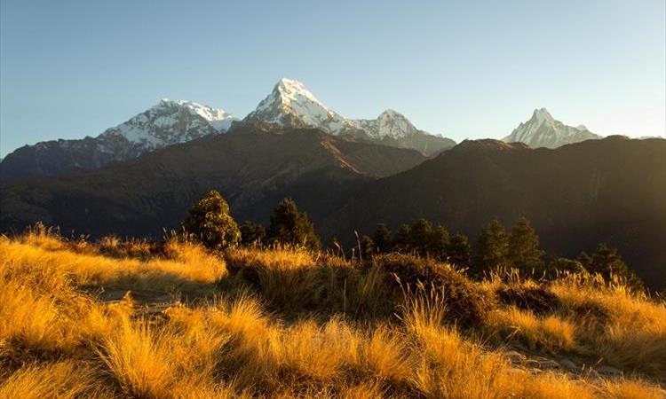 Eco tour: Annapurna Poonhill Trek (Nepal)