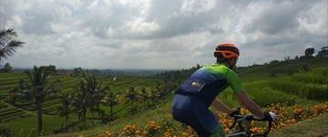 Jatiluwih Bicycle Ride (Indonesia)