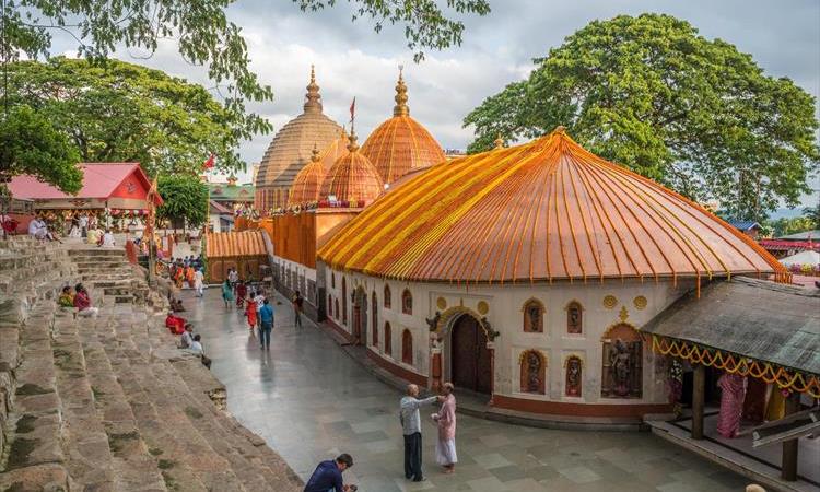Eco tour: North East India Train, Tea, Tiger & Tribal Tour (India)