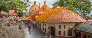 Eco tour: North East India Train, Tea, Tiger & Tribal Tour (India)