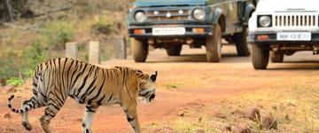 Vishakhapatnam To Nagpur Tribal Communities & Tiger Safari (India)