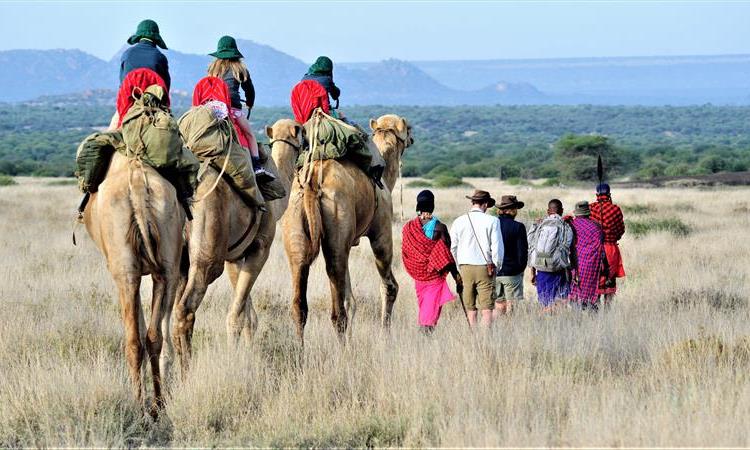 Eco tour: Kenyan Culture And Wildlife Holiday (Kenya)