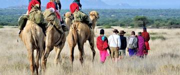 Eco tour: Kenyan Culture And Wildlife Holiday (Kenya)