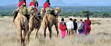 Eco tour: Kenyan Culture And Wildlife Holiday (Kenya)