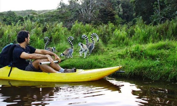 Discover Analamazaotra Park And Ankanin'ny Nofy (Madagascar)