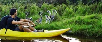Discover Analamazaotra Park And Ankanin'ny Nofy (Madagascar)