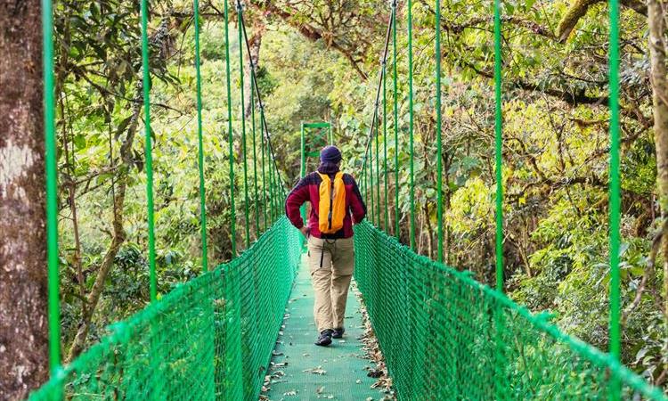 Arenal Hanging Bridges & Baldi Hot Springs. Private Tour (Costa Rica)