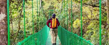 Arenal Hanging Bridges & Baldi Hot Springs. Private Tour (Costa Rica)
