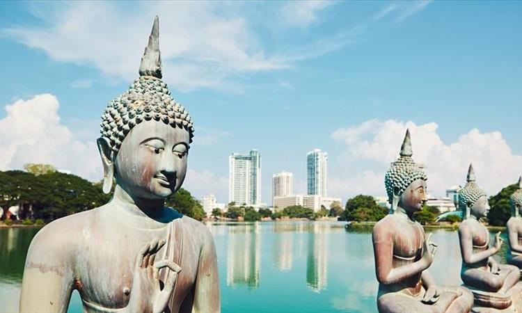 6 Day Sri Lanka Highlights Tour With Private Driver And H/B Accommodathion (Sri Lanka)
