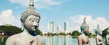 6 Day Sri Lanka Highlights Tour With Private Driver And H/B Accommodathion (Sri Lanka)