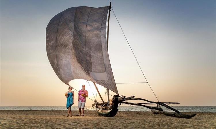7 Days Honeymoon Tour Sri Lanka With Private Driver And H/B Accommodations (Sri Lanka)