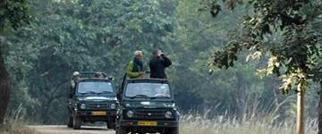 Safaris In Central India Tour From Delhi (India)