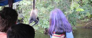 Catemaco And Los Tuxtlas Tour From Veracruz (Mexico)