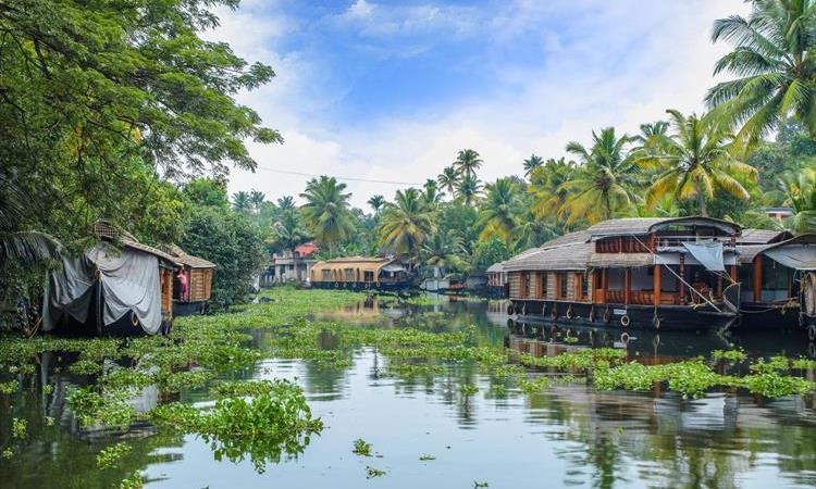 Mumbai, Backwater & Golden Triangle (India)