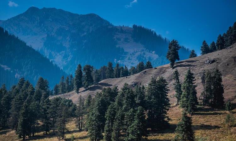 Kashmir & Ladakh (India)