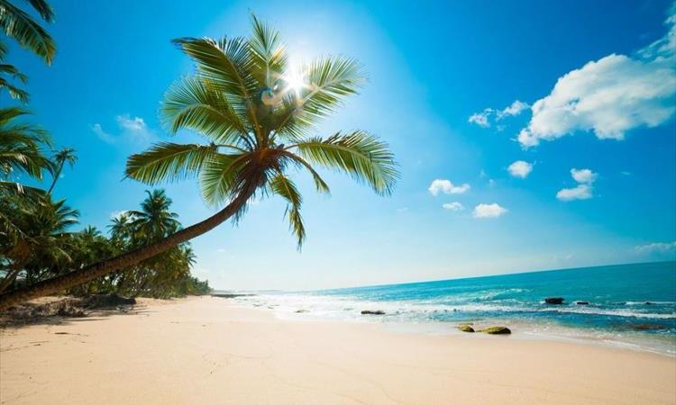 8 Days Honeymoon In Sri Lanka On HB (Sri Lanka)
