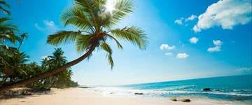 8 Days Honeymoon In Sri Lanka On HB (Sri Lanka)