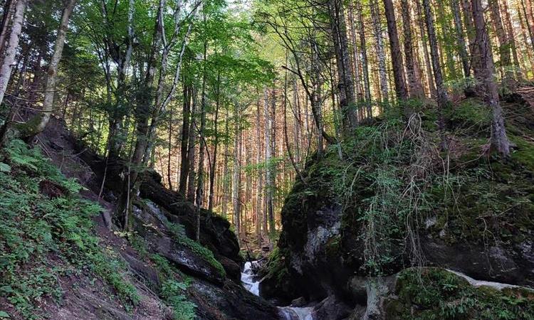 Day Trip To The Seven Ladders Canyon (Romania)