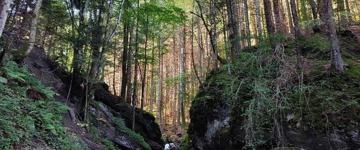 Day Trip To The Seven Ladders Canyon (Romania)