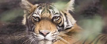 Eco tour: Rural Gems Of Rajasthan (India)