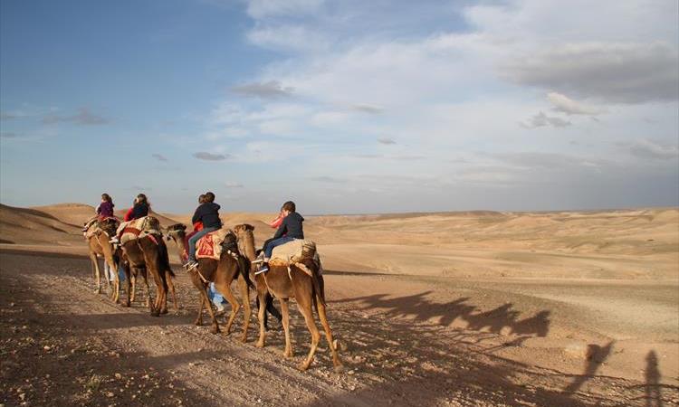 Desert Agafay & Atlas Mountain Day Trip From Marrakech And Camel Ride (Morocco)