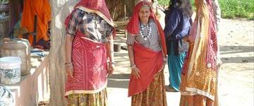 Regal Rajasthan Palaces And Villages (India)