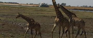 9 Days 8 Nights Victoria Falls Adventure, Chobe & Okavango Delta Experience (Zimbabwe)