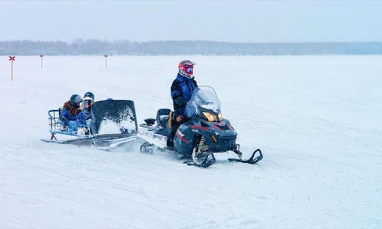 Arctic Secrets & Sleigh Ride At The Arctic Circle (Finland)