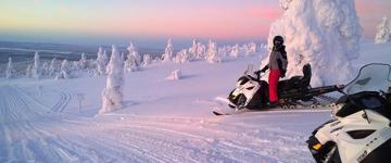 Snowmobile Safari (Finland)