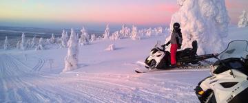 Snowmobile & Animals Day (Finland)