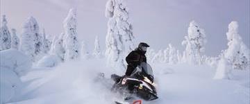 Arctic Family Snowmobile Safari (Finland)