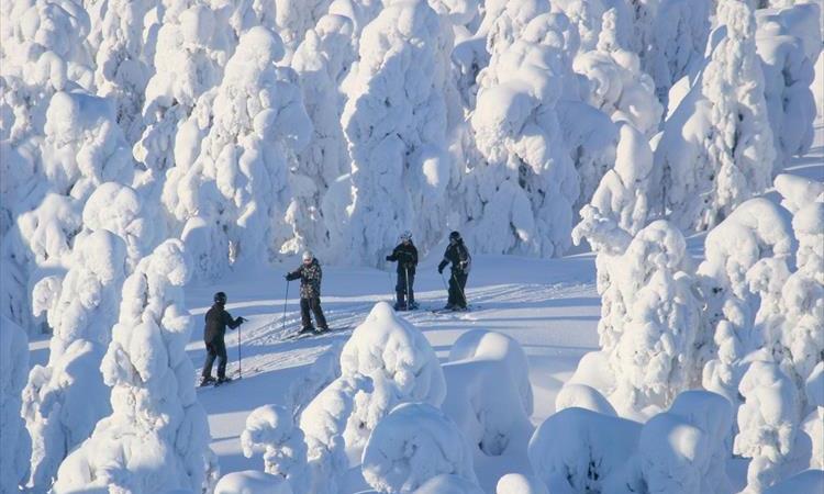 Slalom & Ice Fishing Day Tour (Finland)