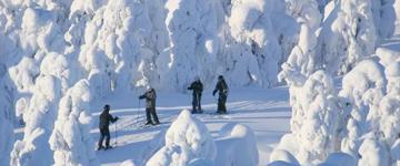 Slalom & Ice Fishing Day Tour (Finland)