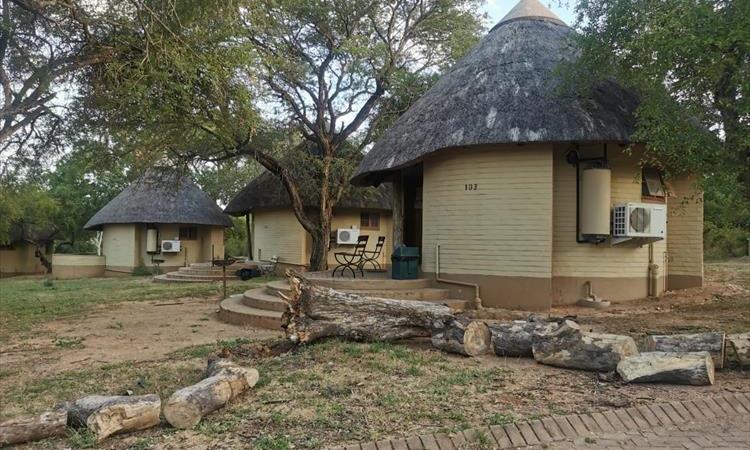 Eco tour: 2 Day Bushveld Kruger Safari (South Africa)