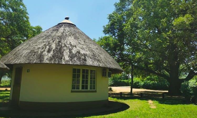 Eco tour: 3 Day Classic Kruger Safari (South Africa)