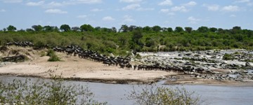 Eco tour: 4-Day Mid Range Tanzania Safari (Tanzania)