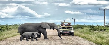 3 Days Queen Elizabeth Wildlife Safari (Uganda)