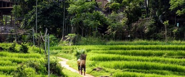 Eco tour: Mai Chau – Pu Luong – Ninh Binh Eco Escape: 4 Days (Vietnam)