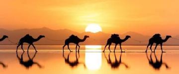 Eco tour: 10-day Danakil Depression, Tigray Churches & Omo Valley Tour (Ethiopia)