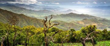 Eco tour: 14 Days: Chebera Churchura, Omo Valley, Lalibela, And Danakil (Ethiopia)