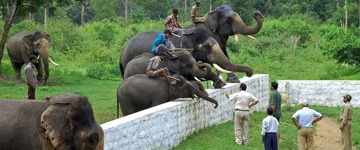 A Private Day Tour From Mysore To Coorg (India)