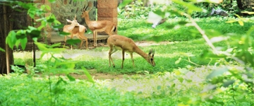 Kerala Hill Station Getaway: 3 Nights 4 Days (India)