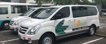 Shared Transportation Lir Airport To Tamarindo (Costa Rica)