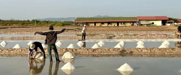 Authentic Kampot Countryside & Khmer Village Tuk Tuk Experience (Cambodia)